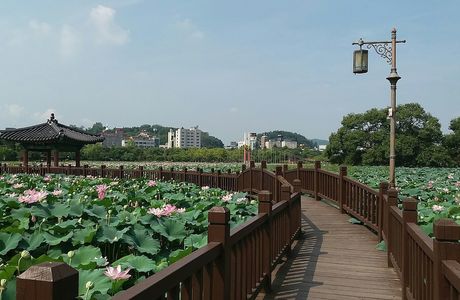Jeonju Arboretum