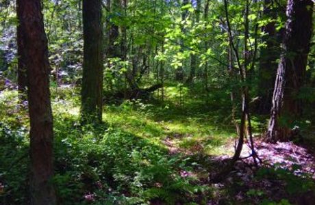 Järavallens friluftsområde