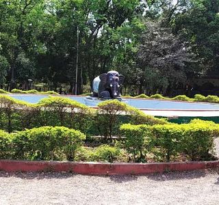 Japanese Rose Garden