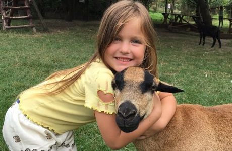 Fertozug Petting Zoo
