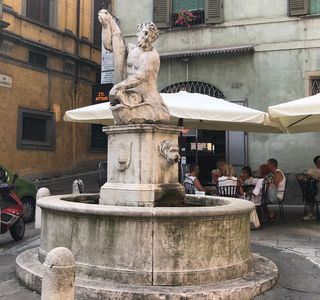 Fontana del Delfino