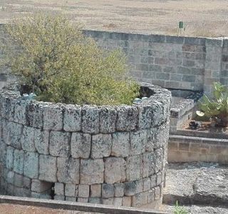 Fonte Pliniano