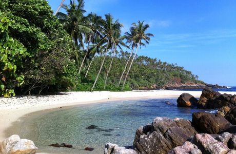 Mirissa Beach