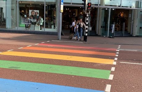 Miffy's Traffic Light