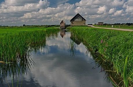 Naardermeer