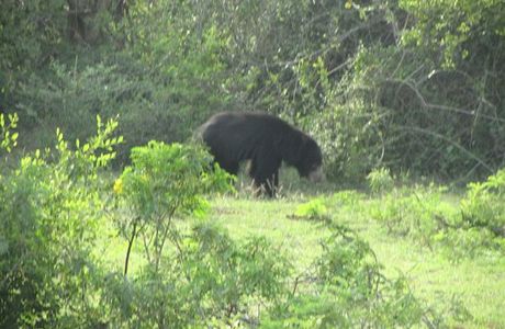 Lal Lanka Tours