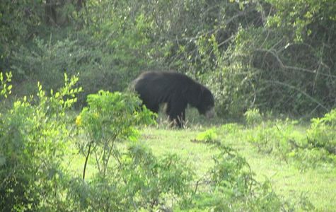 Lal Lanka Tours 1