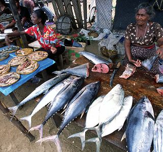 Main Fish Market