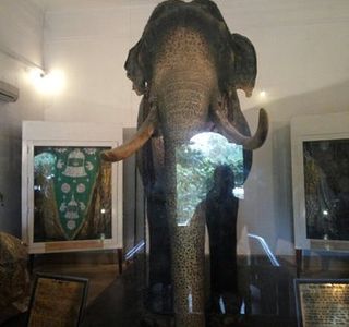 Raja Museum