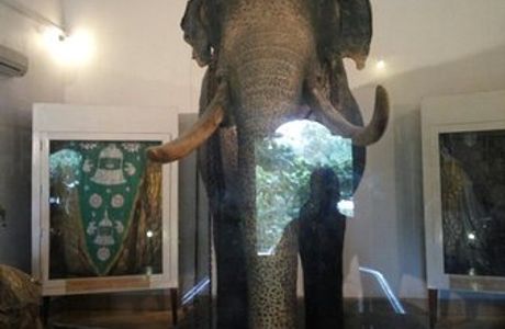 Raja Museum