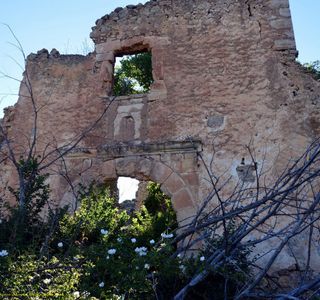 Ruinas Convento San Francisco