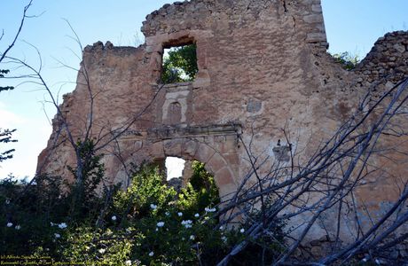 Ruinas Convento San Francisco
