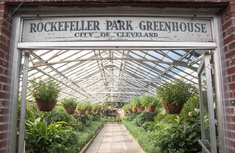 Rockefeller Park & Greenhouse