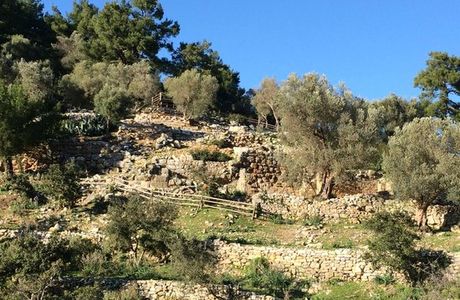 Pedasa Antique City