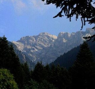 Pian delle Gorre - parco del Pesio