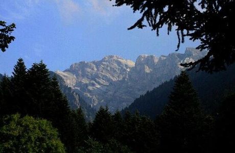 Pian delle Gorre - parco del Pesio