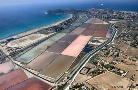 Parco Naturale Molentargius-Saline