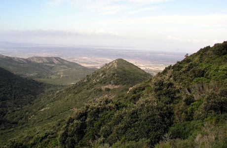 Parco Naturale del Monte Arci