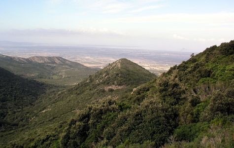 Parco Naturale del Monte Arci 1