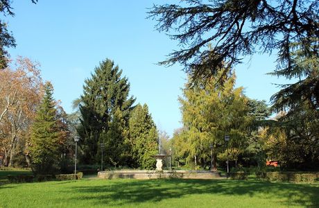 Parco Massari
