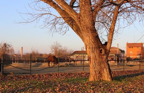 Parco Urbano Franco Agosto