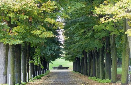 Parco Regionale La Mandria