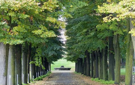 Parco Regionale La Mandria 1