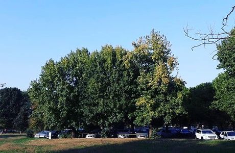 Parco Brianza Centrale