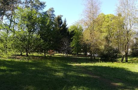 Parco Bosco dei Ronchi e Parco ex-ILA