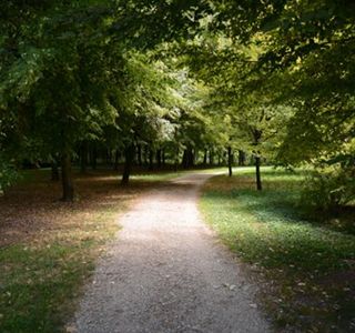 Parco delle Risorgive