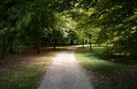 Parco delle Risorgive