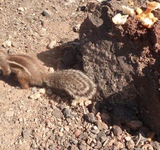 Parque Natural de Jandia