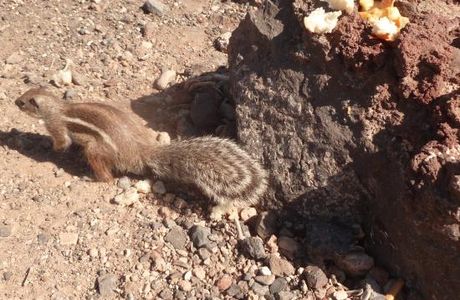 Parque Natural de Jandia