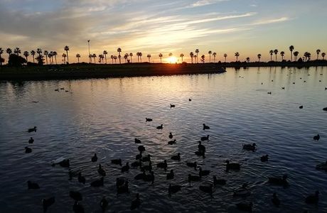 Parque de los Lagos