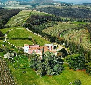 Terre di Tuscia - Azienda Agricola Apicoltura