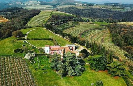 Terre di Tuscia - Azienda Agricola Apicoltura