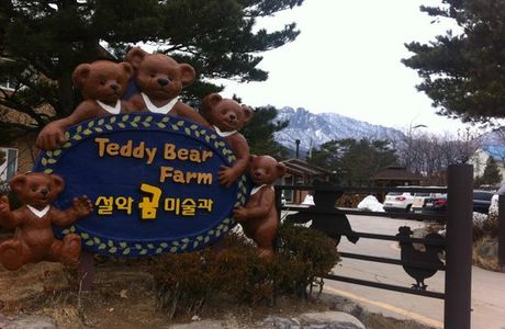 Teddy Bear Farm