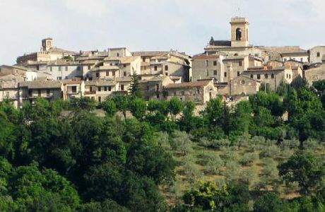 The Chiacchiarini Farm