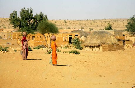 Talvriksha