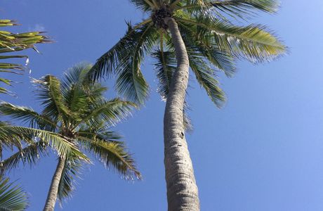 Summerland Palmi