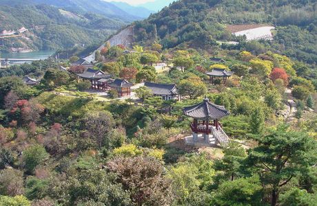 Sujupalbong