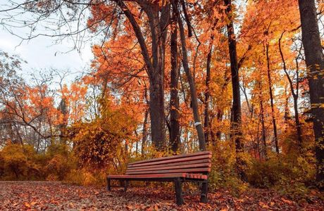 Tashkent Botanical Garden Named After Academician F. N. Rusanov
