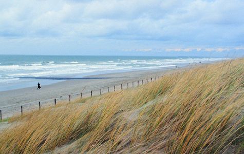 The Wadden Sea 1