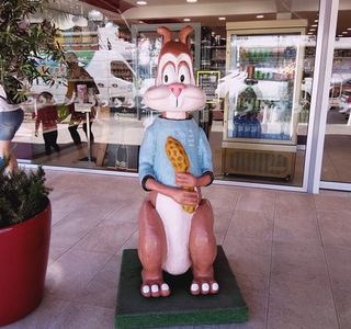 The Nut Cracker House