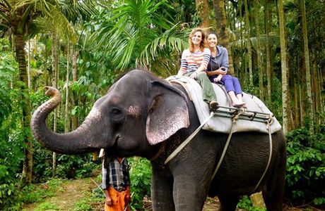 The Persian Paradise