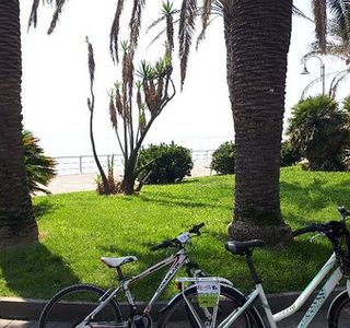 Shockblaze - Rent A Bike