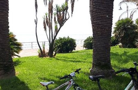 Shockblaze - Rent A Bike