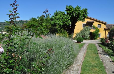 Sfizi DI Bufala E Natural Beauty