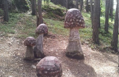 Sentiero dei Funghi