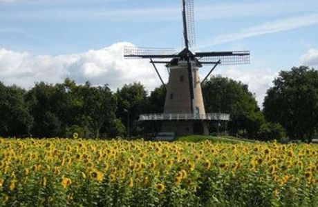 Stellingkorenmolen De Windhond
